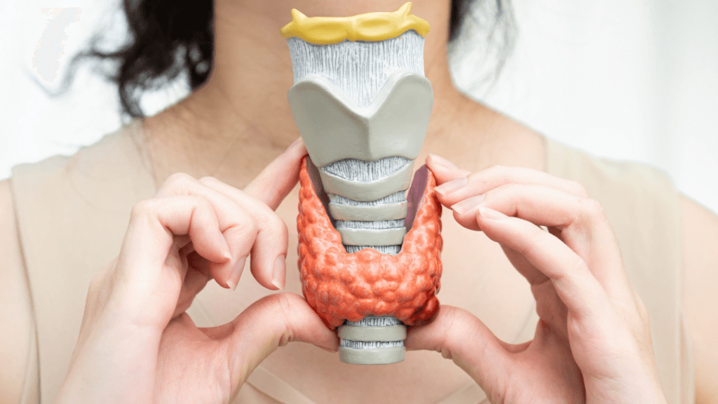 Thyroid Eye Disease